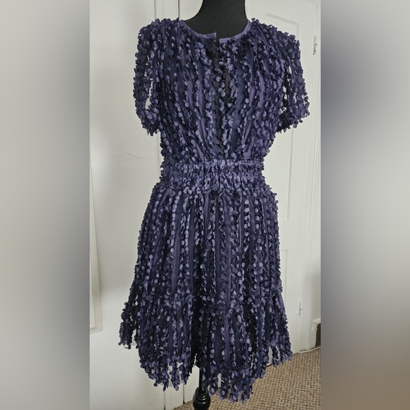 Anthropologie The Somerset Mini Dress: 3D Floral Applique Edition, blue - Picture 6 of 8